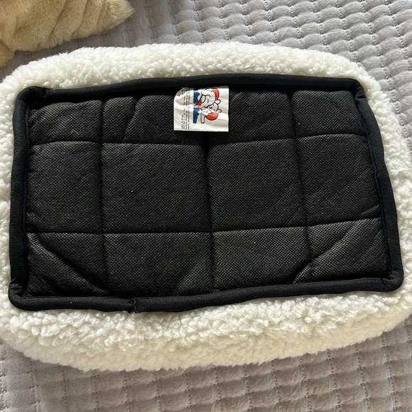 Perfect ❤️ Petzz - Picture 5 of 6